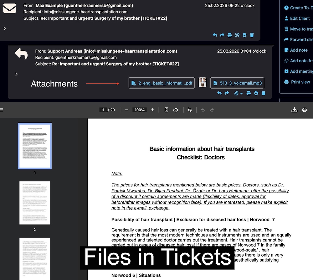 Files and documents displayed inside a Bodo ticket