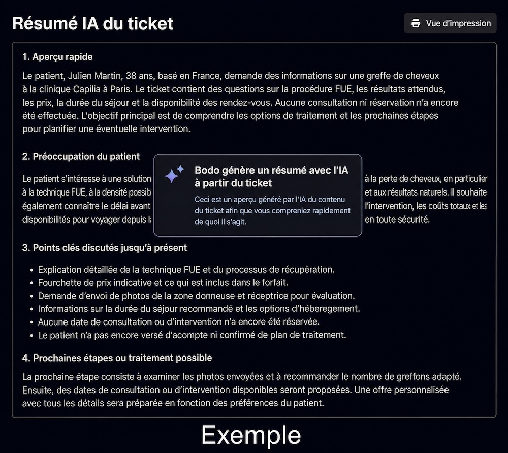 Résumé IA du ticket dans Bodo